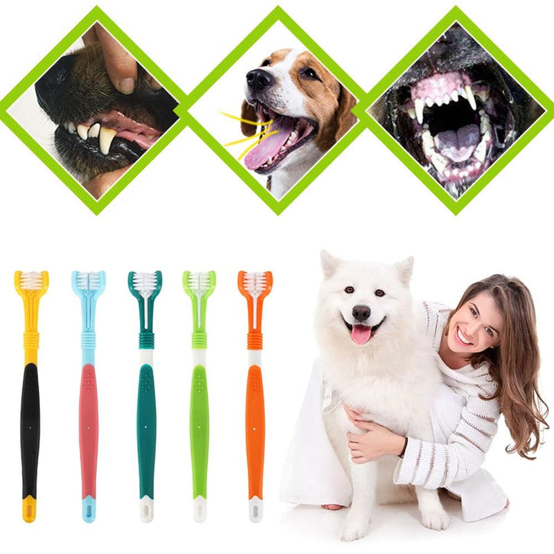 Cepillo dental multiángulo para mascotas - Império SA